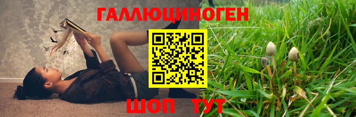 Псилоцибиновые грибы мухоморы Краснокаменск